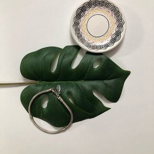 Sterling Silver Pandora Bracelet